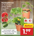 Aktuelles Cocktail- oder Fleischtomaten, Paprika oder Snackgurke Angebot bei Netto Marken-Discount in Berlin ab 1,99 €