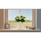 Hortensia - MDD dans le catalogue Carrefour Market