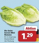combi Apen - Salatherzen Mini Romana Angebot im Prospekt Salatherzen Mini Romana bei combi im Apen Prospekt für 1,29 €