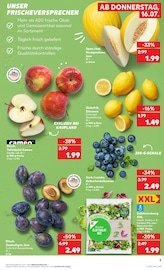 Beeren Angebote im Prospekt "Hier bin ich richtig" von Kaufland Beeren Angebote im Prospekt "Hier bin ich richtig" von Kaufland auf Seite 3