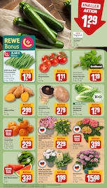 Ähnliche Hibiskus Angebote im Prospekt "Dein Markt" von REWE in Offenbach Ähnliche Angebote wie Hibiskus im Prospekt "Dein Markt" auf Seite 7 von REWE in Offenbach