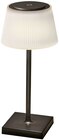 LED-Tischlampe im Angebot bei REWE in Potsdam LED-Tischlampe Angebote von VIVESS bei REWE Potsdam für 7,99 €
