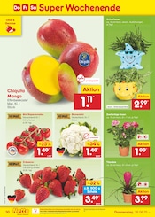 Erdbeeren im Netto Marken-Discount Prospekt in Heinsberg Aktueller Netto Marken-Discount Prospekt mit Erdbeeren, "Aktuelle Angebote", Seite 44