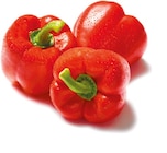 Paprika rot für 1,99 € bei Netto mit dem Scottie im Angebot Paprika rot im aktuellen Netto mit dem Scottie Prospekt