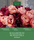 Kollektion Romantika Tulpenmischung im Pflanzen Kölle Prospekt Kollektion Romantika Tulpenmischung von im aktuellen Pflanzen Kölle Prospekt für 12,99 €