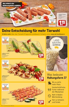 Hackfleisch im aktuellen REWE Prospekt (Heidelberg) Hackfleisch im REWE Prospekt "Dein Markt" mit 34 Seiten (Heidelberg)