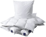 Aktuelle Kopfkissen Angebote bei XXXLutz Möbelhäuser in Oberhausen Aktuelles Ganzjahresbett Angebot bei XXXLutz Möbelhäuser in Oberhausen ab 49,99 €