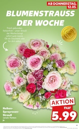 Blumen im Kaufland Prospekt KNÜLLER auf S. 73