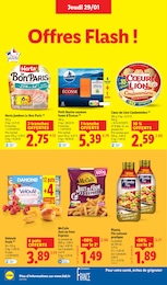 Offre Frites surgelées dans le catalogue Lidl du moment à la page 18