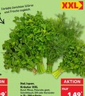 Ital./span. Kräuter XXL Angebote bei Kaufland Bremerhaven für 1,49 €