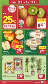Äpfel im ALDI Nord Prospekt in Wunstorf Aktueller ALDI Nord Prospekt mit Äpfel, "Aktuelle Angebote", Seite 7