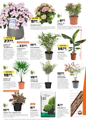 Blumentopf im OBI Prospekt in Euskirchen Aktueller OBI Prospekt mit Blumentopf, "BIBERSTARKE ANGEBOTE", Seite 4