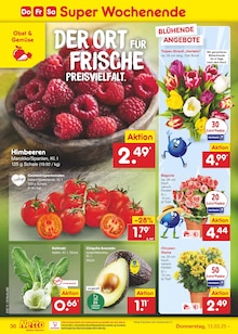 Tulpen im Netto Marken-Discount Prospekt "Aktuelle Angebote" mit 56 Seiten (Erfurt)