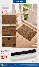 Offre Porte D'entrée dans le catalogue Lidl du moment à la page 60