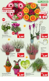 Gartenzwerg im Kaufland Prospekt in Bad Oeynhausen Aktueller Kaufland Prospekt mit Gartenzwerg, "Aktuelle Angebote", Seite 5