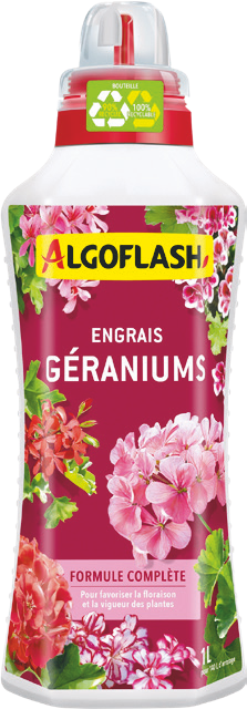 Engrais géranium