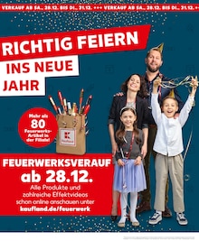 Feuerwerk im Kaufland Prospekt "Aktuelle Angebote" mit 31 Seiten (Singen (Hohentwiel))