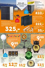 Aktueller Globus-Baumarkt Prospekt mit Solarlampe, "Immer eine Idee besser", Seite 7