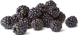 Penny Haltern am See - Deutsche Brombeeren Angebot im Prospekt Deutsche Brombeeren bei Penny im Haltern am See Prospekt für 2,29 €