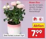 Rosen Duo Angebote bei Netto Marken-Discount Pirna für 7,99 €