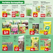 Ähnliche Angebote wie Mutterboden im Prospekt "Top Angebote" auf Seite 15 von Thomas Philipps in Wolfsburg
