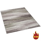 Aktuelles Teppich Epic Angebot bei POCO in Rostock ab 25,00 €