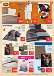 Aktueller Marktkauf Prospekt mit Deko, "AUSWAHL RIESIG, PREISE NIEDRIG", Seite 45