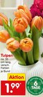 Tulpen Angebote bei Netto Marken-Discount Rastatt für 1,99 €