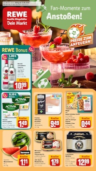 Aktueller REWE Prospekt "Dein Markt" für Schwetzingen Aktueller REWE Prospekt für Schwetzingen mit Seiten