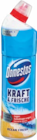 WC-Gel Angebote von Domestos bei Netto Marken-Discount Rodgau für 1,69 €