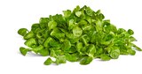 Aktuelle Salat Angebote bei Penny in Duisburg Aktuelles Bio-Feldsalat Angebot bei Penny in Duisburg ab 1,00 €