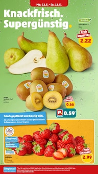 Erdbeeren im Penny Prospekt "Wer günstig will, muss Penny." mit 40 Seiten (Stuttgart)