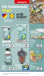 Sonnenblumenkerne Angebot im aktuellen Lidl Prospekt auf Seite 25