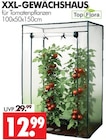 XXL-GEWÄCHSHAUS Angebote von TopFlora bei Wreesmann Dessau-Roßlau für 12,99 €