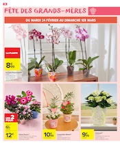 Orchidée Angebote im Prospekt "LE MOIS VIP VERY IMPORTANT PROMOS*" von Carrefour Market auf Seite 18