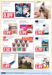 Katzenstreu Angebot & Preis im aktuellen Marktkauf Prospekt Katzenstreu Angebot im aktuellen Marktkauf Prospekt auf Seite 28