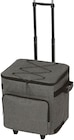 Kühltrolley im Angebot bei Penny in Göppingen Kühltrolley Angebote von HEDURA bei Penny Göppingen für 19,99 €