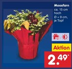 Aktuelles Moosfarn Angebot bei Netto Marken-Discount in Dresden ab 2,49 €