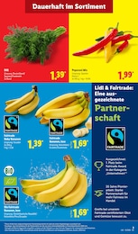 Lidl Kräuter im Prospekt Lidl Kräuter im Prospekt