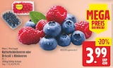 Kulturheidelbeeren für 3,99 € bei E center im Angebot Kulturheidelbeeren im aktuellen E center Prospekt