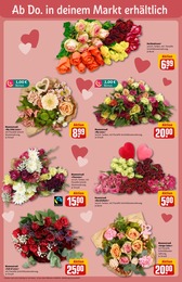 Baum im REWE Prospekt "Dein Markt" auf Seite 7