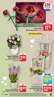 Blumen im EDEKA Prospekt "Aktuelle Angebote" mit 60 Seiten (Karlsruhe)