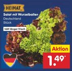 Aktuelle Salat Angebote bei Netto Marken-Discount in Frankfurt (Main) Aktuelles Salat mit Wurzelballen Angebot bei Netto Marken-Discount in Frankfurt (Main) ab 1,49 €