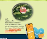 20-fach Punkte bei tegut im Prospekt "" für 