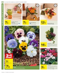 Offre Orchidée dans le catalogue Carrefour du moment à la page 58