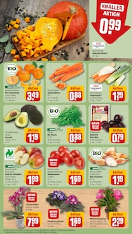 Orchidee im aktuellen REWE Prospekt (Köln) Orchidee im REWE Prospekt "Dein Markt" mit 24 Seiten (Köln)