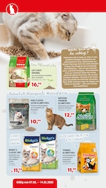 Aktueller Zookauf Prospekt mit Katzenstreu, "Spielspaß pur für aktive Vierbeiner", Seite 2
