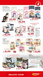 Sträucher Angebot & Preis im aktuellen Zookauf Prospekt Sträucher Angebot im aktuellen Zookauf Prospekt auf Seite 7