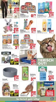 Katzenfutter im aktuellen Mäc-Geiz Prospekt (Dresden) Katzenfutter im Mäc-Geiz Prospekt "Aktuelle Angebote" mit 12 Seiten (Dresden)