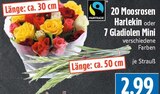 20 Moosrosen Harlekin im Angebot bei EDEKA in Gießen 20 Moosrosen Harlekin Angebote bei EDEKA Gießen für 2,99 €